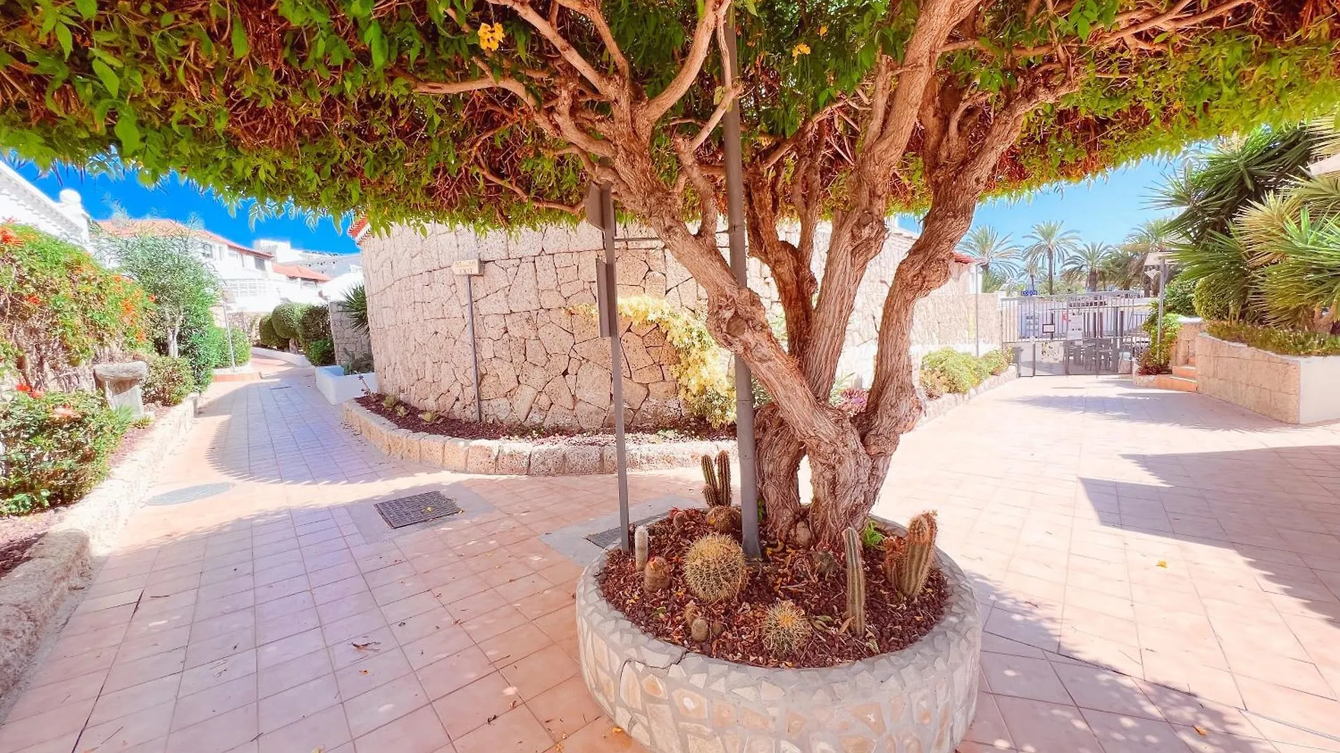 Studio In Paraiso Royal, Playa De Las Americas Apartment